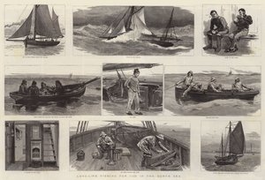 Long-Line Fishing for Cod in the North Sea